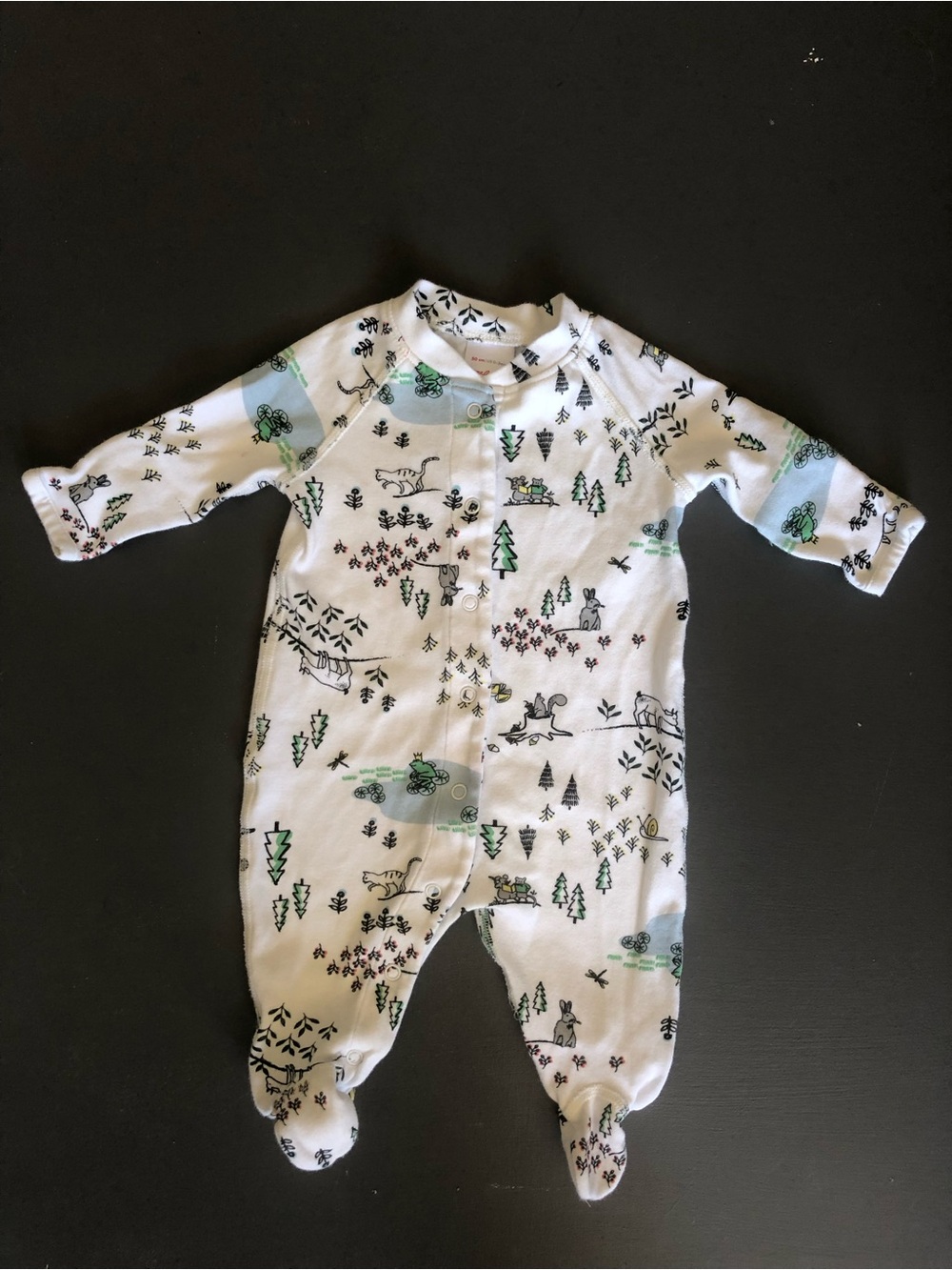 Hanna Andersson Organic Cotton Woodland Print Footed Sleeper 0-3M